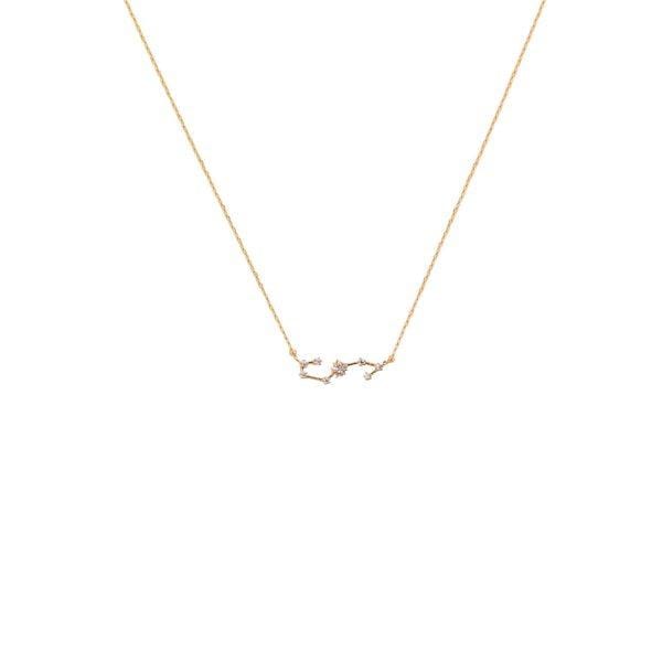 Scorpio Zodiac Necklace 14k Gold, Necklace Jewelry by Secret Box | LIT Boutique