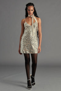 Thumbnail for Yasmin Dress Silver, Mini Dress by Steve Madden | LIT Boutique