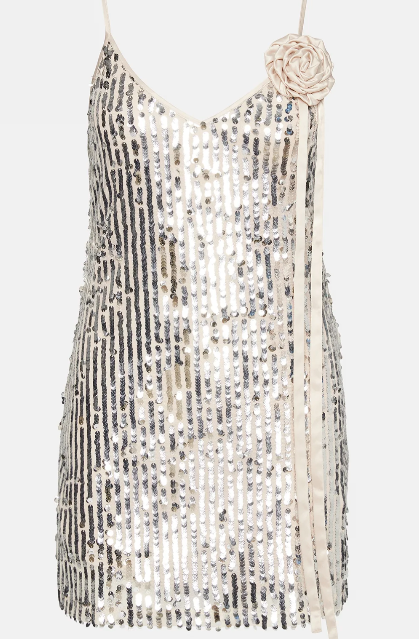 Yasmin Dress Silver, Mini Dress by Steve Madden | LIT Boutique