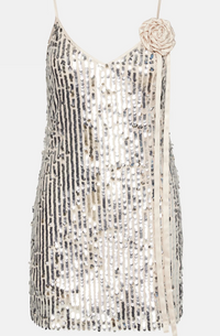 Thumbnail for Yasmin Dress Silver, Mini Dress by Steve Madden | LIT Boutique