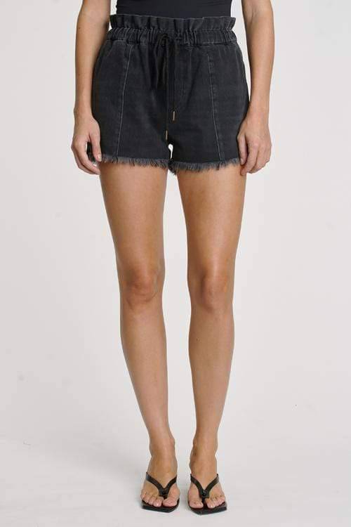 Salem Cooper Paperbag Short, Fabric Shorts by Pistola | LIT Boutique
