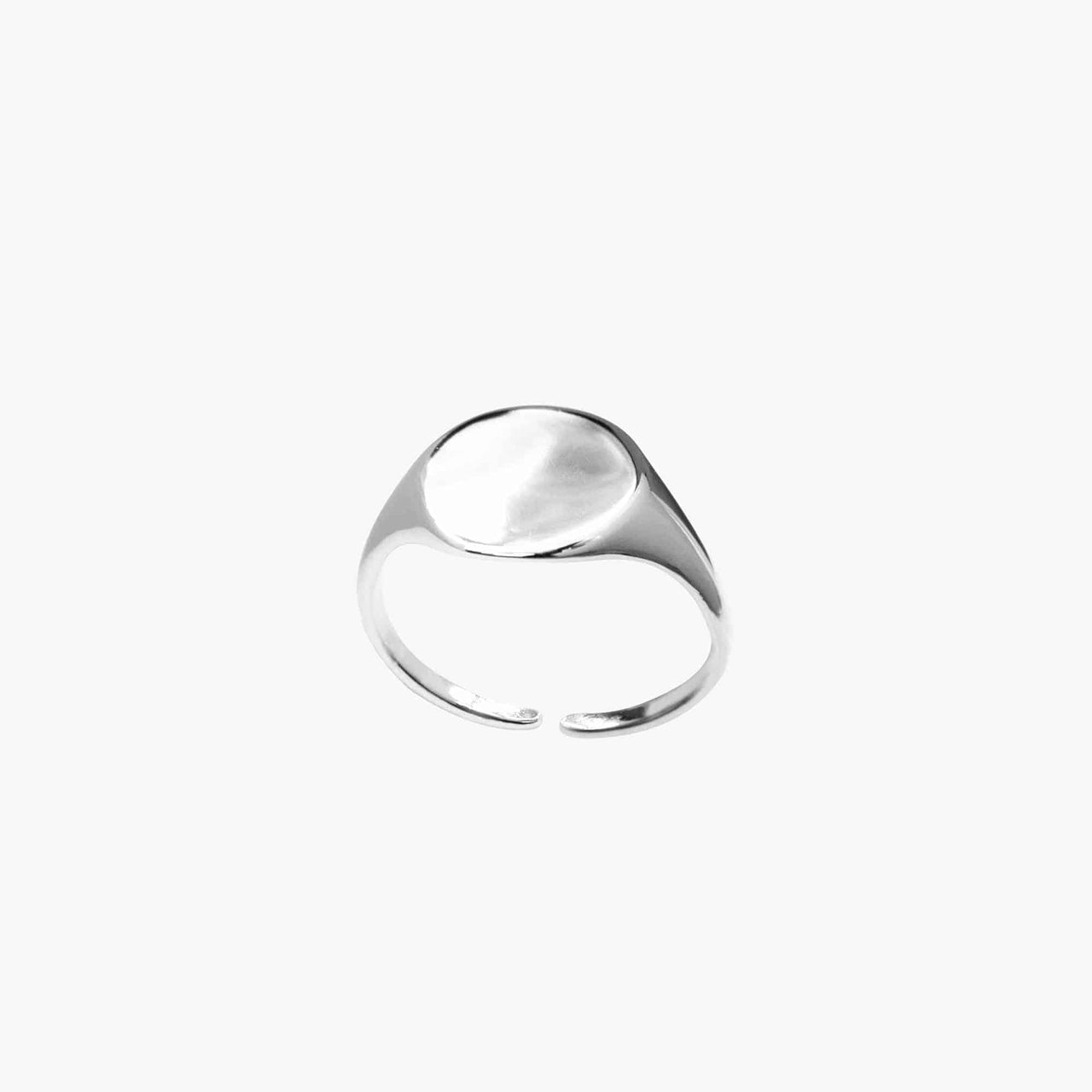 Brixton Signet Ring 24k White Gold, Ring Jewelry by Secret Box | LIT Boutique