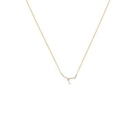Thumbnail for Cancer Zodiac Necklace 14k Gold, Necklace Jewelry by Secret Box | LIT Boutique