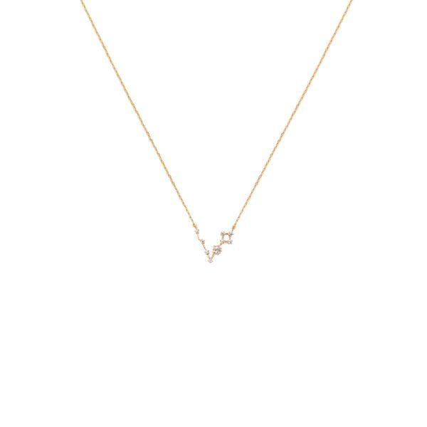 Pisces Zodiac Necklace 14k Gold, Necklace Jewelry by Secret Box | LIT Boutique