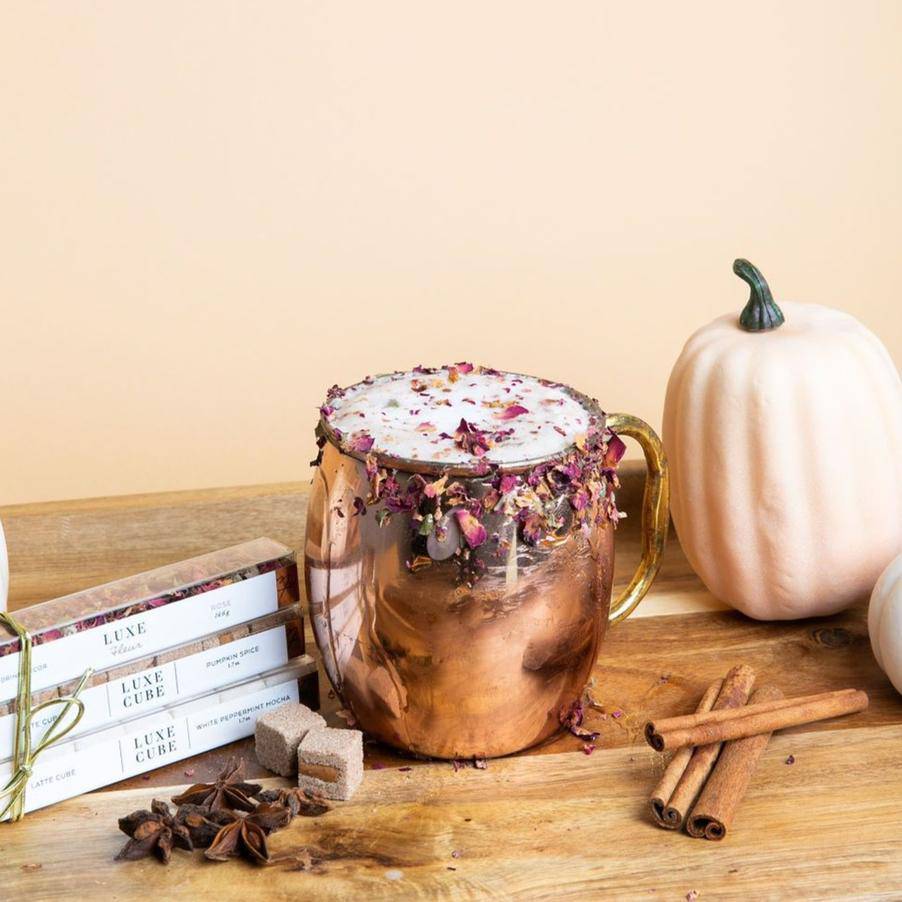Pumpkin Spice Latte Kit, Consumable Gift by Teaspressa | LIT Boutique